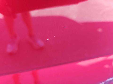 2017 Ford F-150 XLT RWD