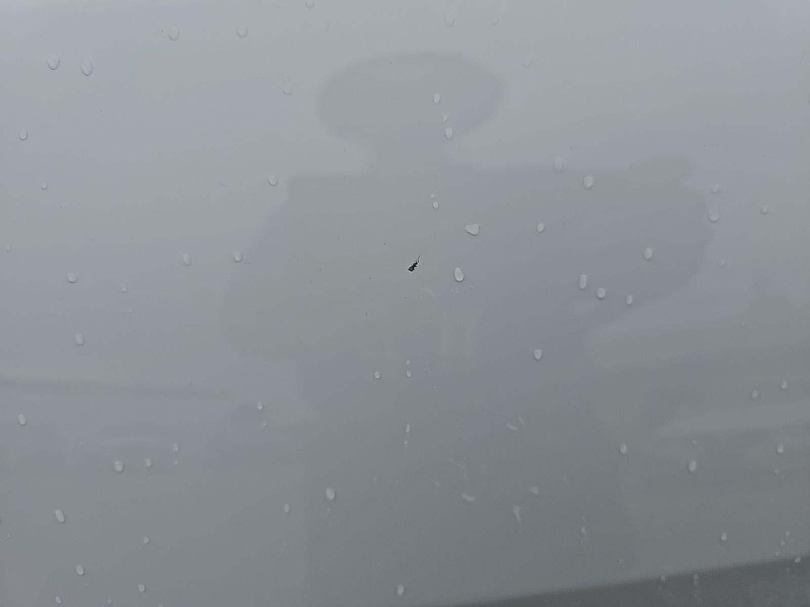 2019 Jeep Grand Cherokee Overland RWD