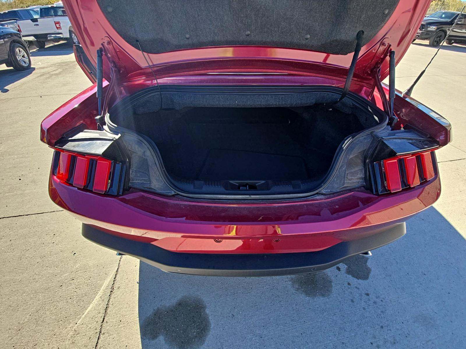 2025 Ford Mustang EcoBoost Premium RWD