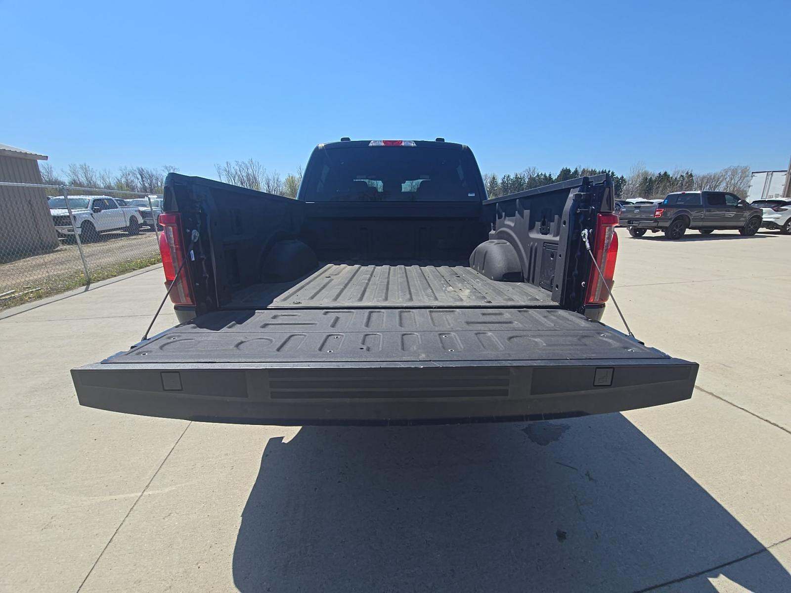 FORD F-150 - 10