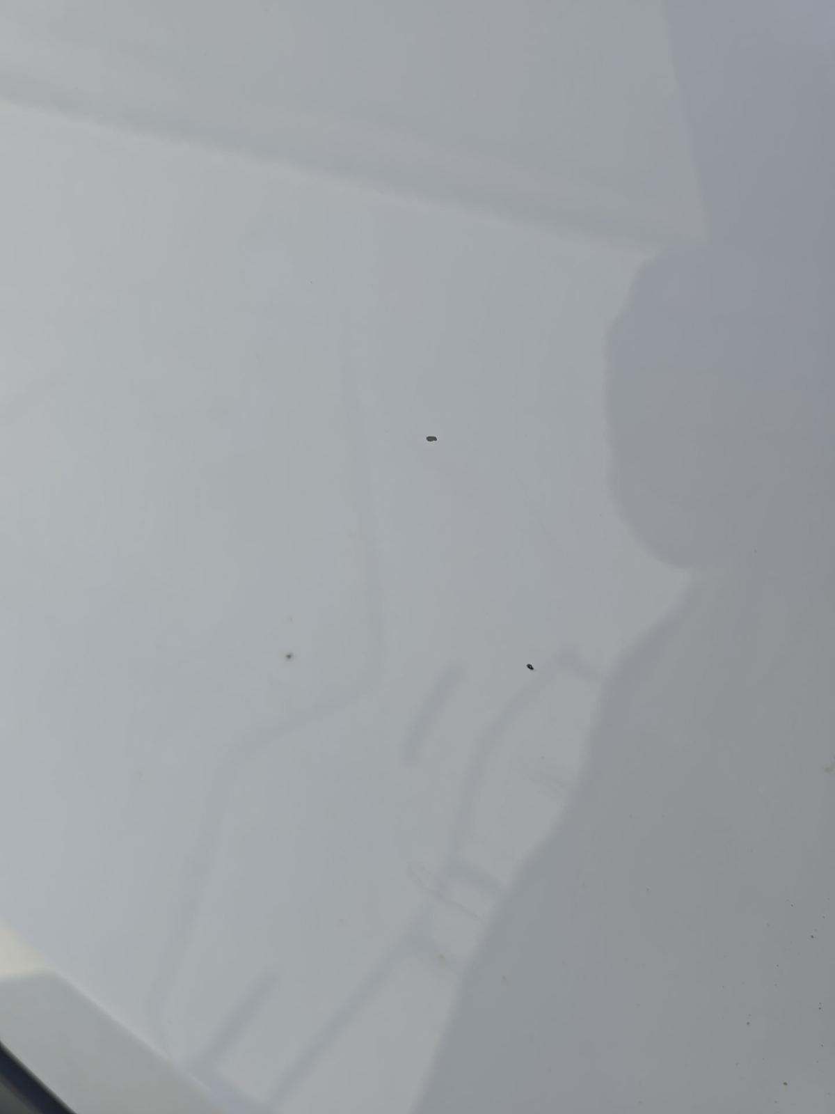 Thumbnail 24