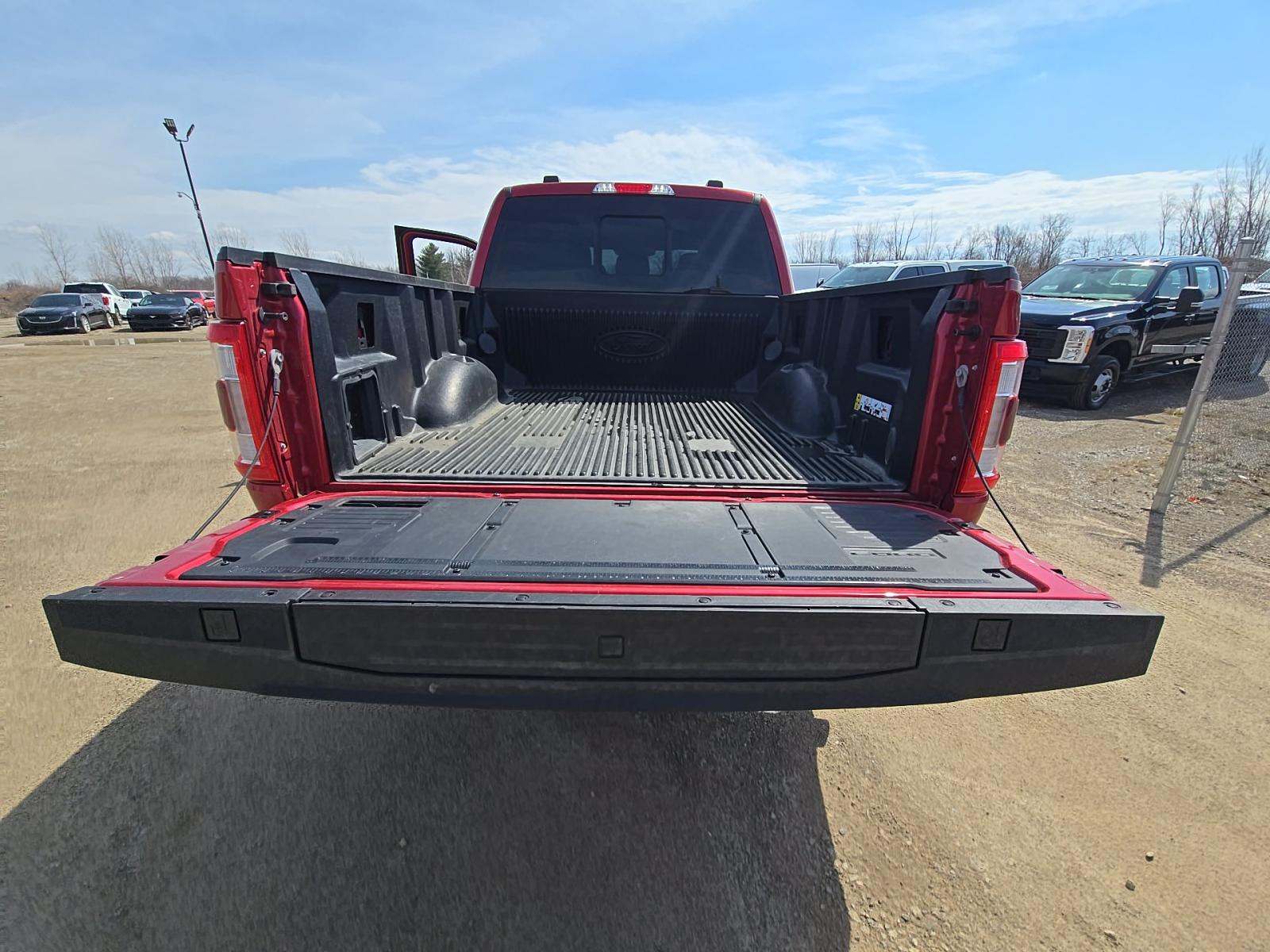 FORD F-150 - 10