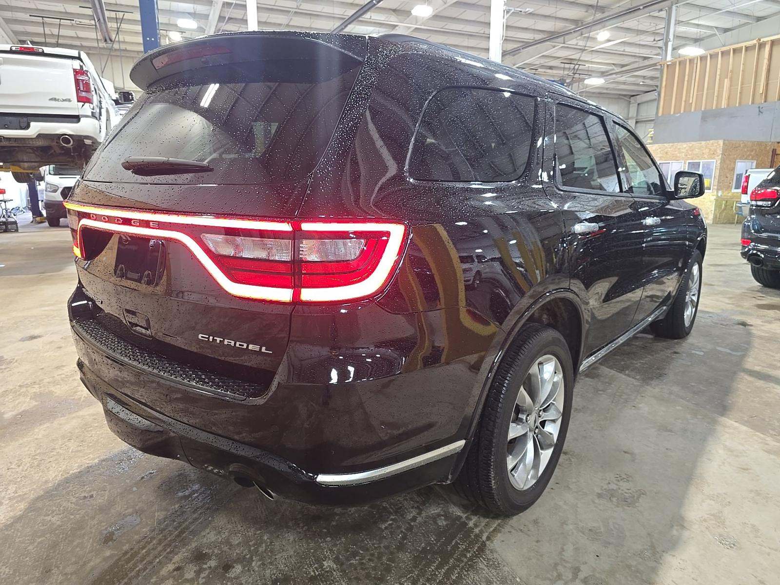 DODGE CITADEL - 3