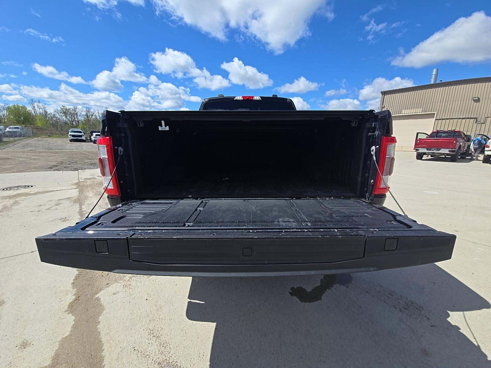 FORD F-150 - 10