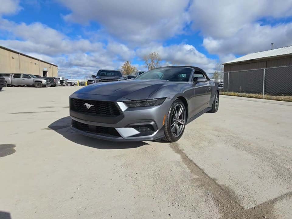 2025 Ford Mustang EcoBoost Premium RWD