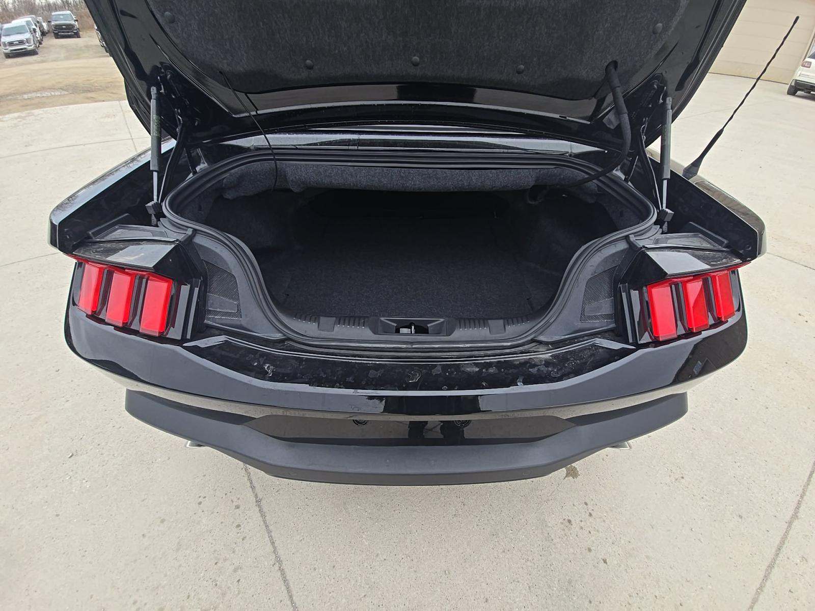 2025 Ford Mustang EcoBoost Premium RWD