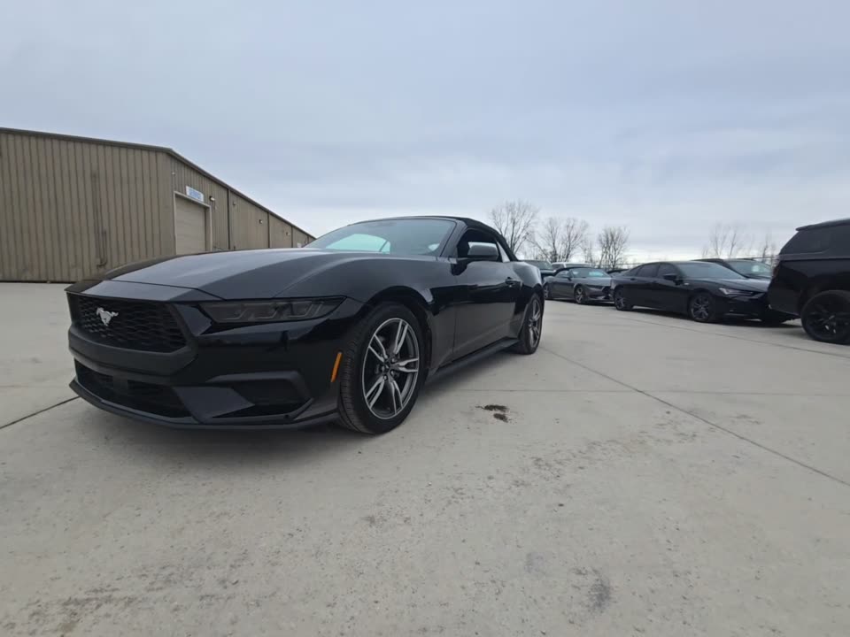 2025 Ford Mustang EcoBoost Premium RWD