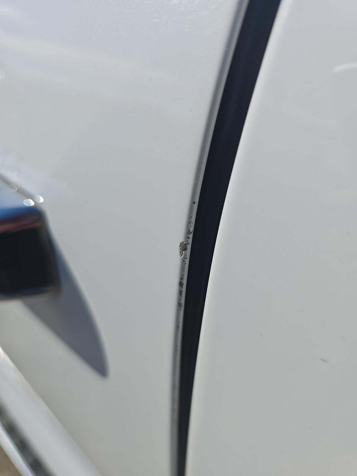 2024 Ford F-150 XLT AWD