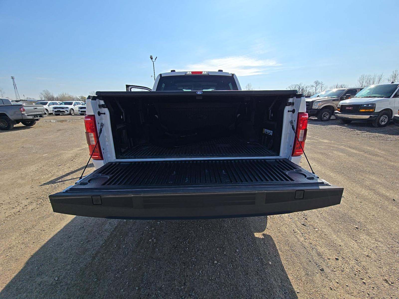 FORD F-150 - 10