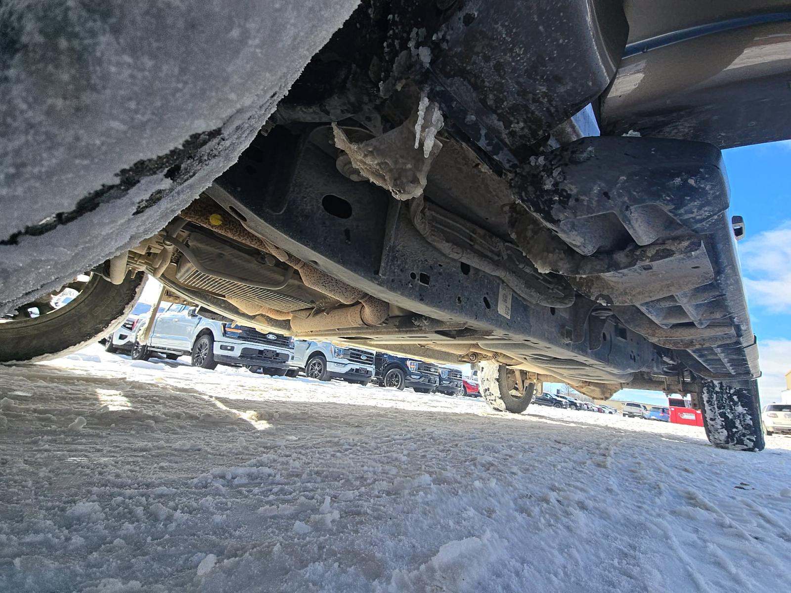 2023 Ford F-150 XLT AWD