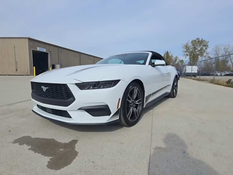 2025 Ford Mustang EcoBoost Premium RWD