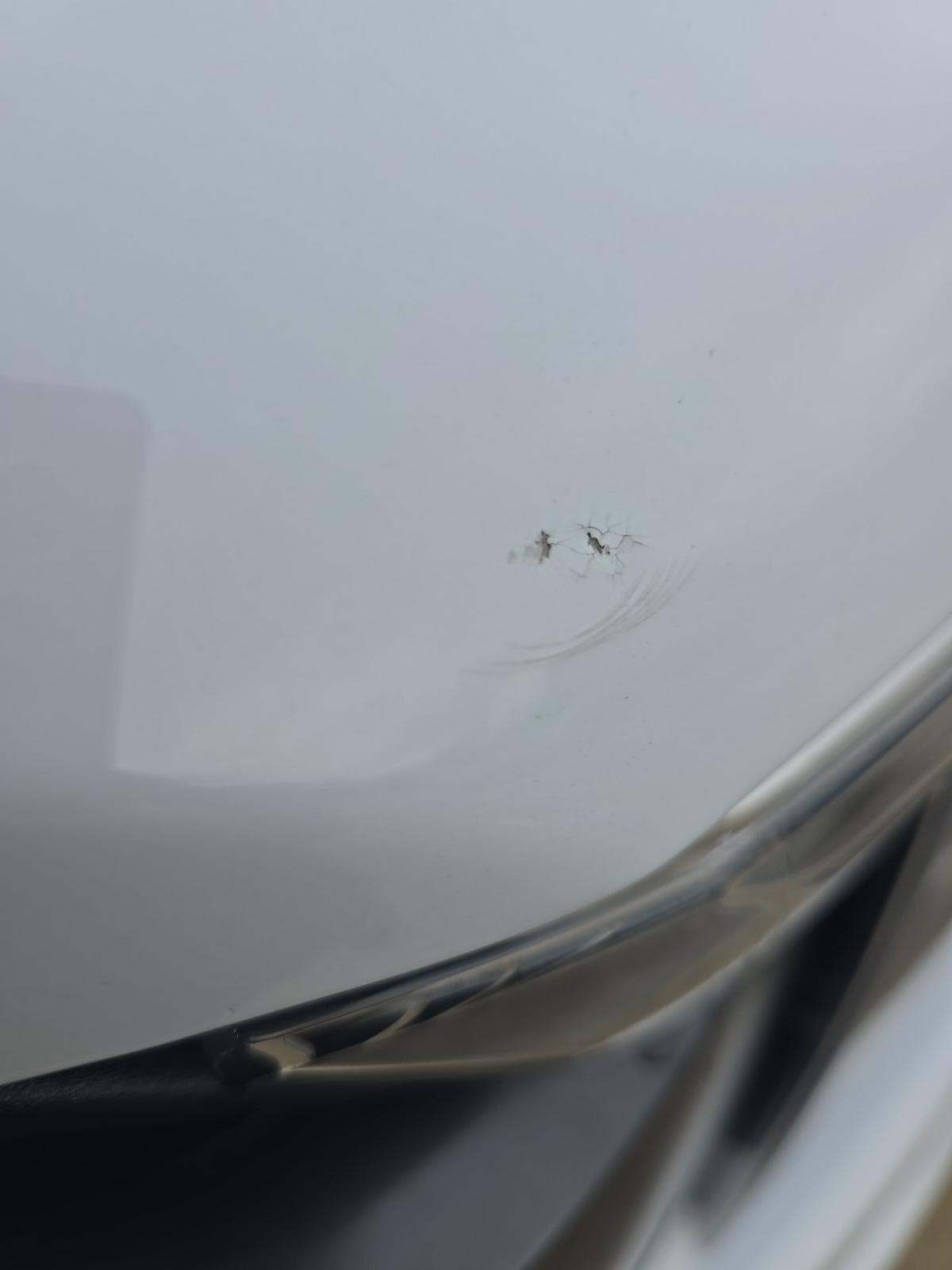 2023 Ford F-150 Hybrid Lariat AWD