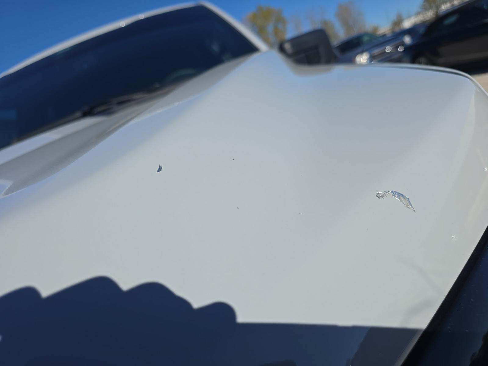 2024 Ford F-150 XLT AWD