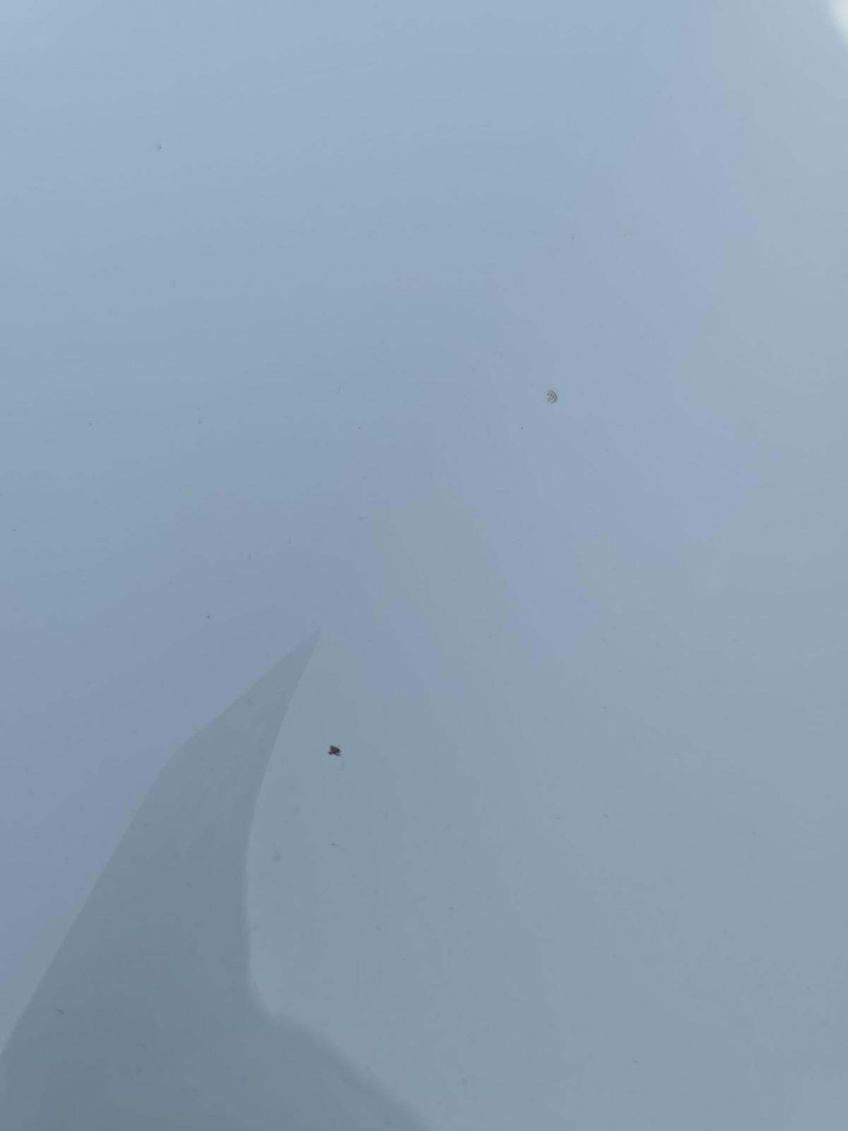 2022 Ford Escape SEL AWD