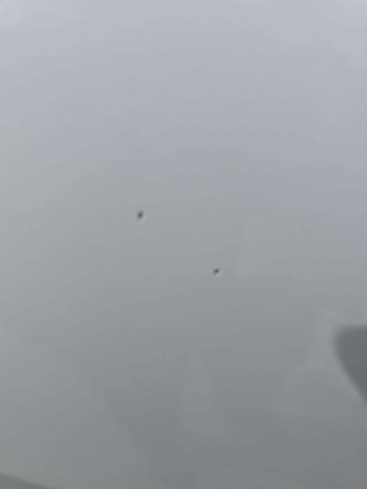 2022 Ford Escape SEL AWD