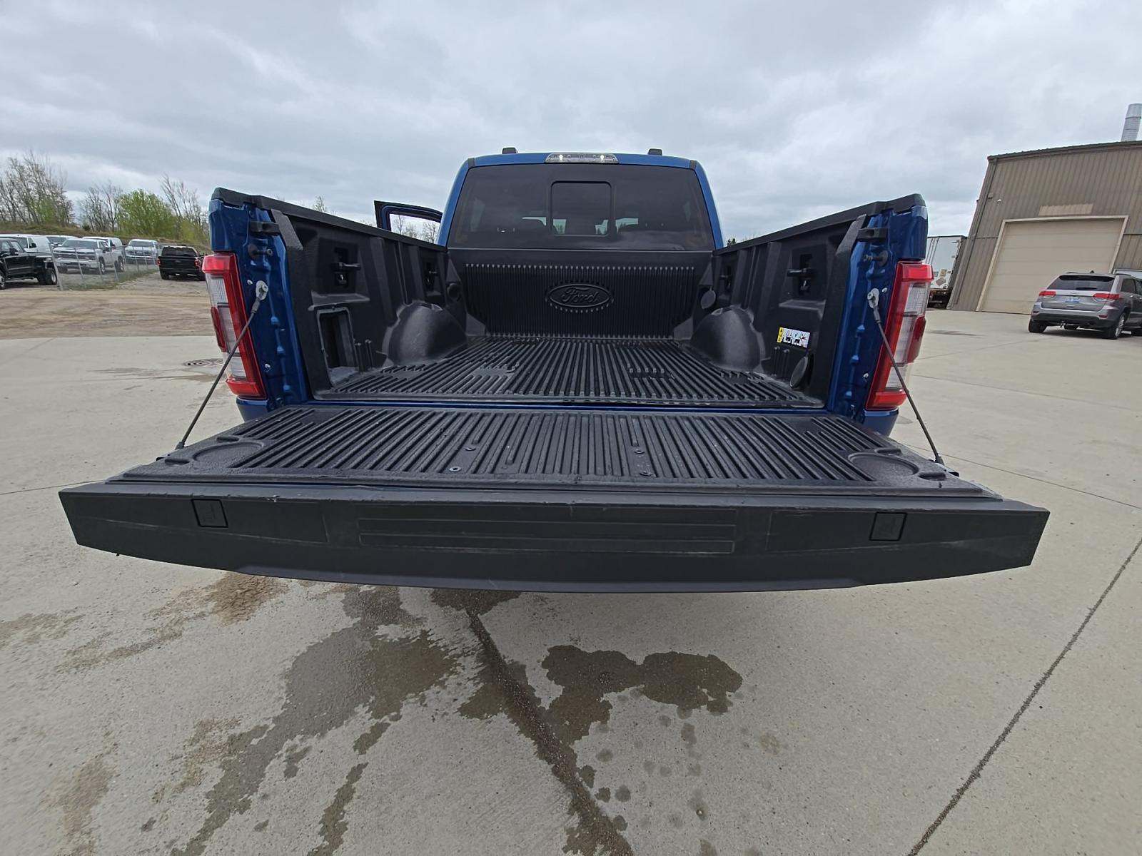 FORD F-150 - 10