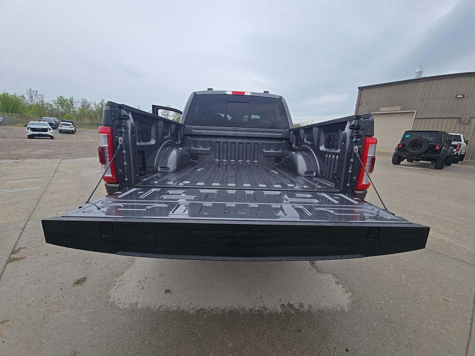 FORD F-150 - 10
