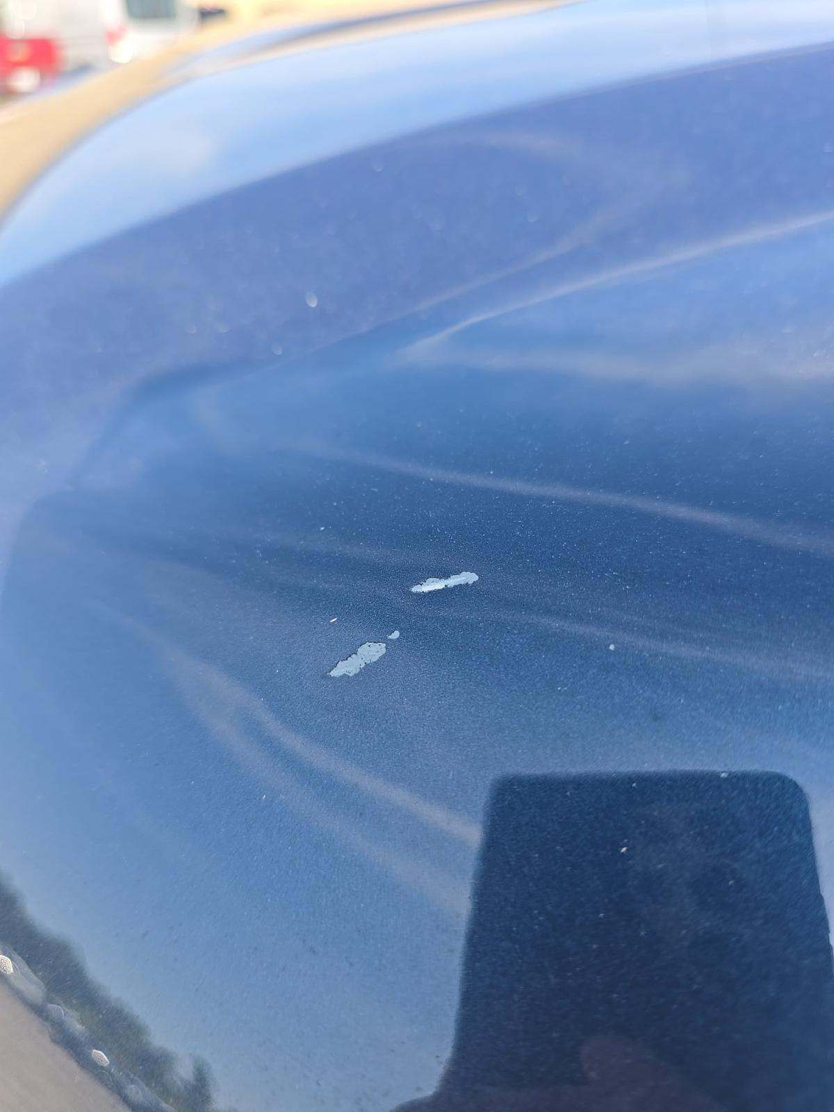 2019 Chevrolet Silverado 1500 LT Trail Boss AWD