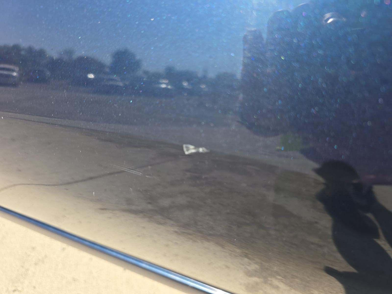 2019 Chevrolet Silverado 1500 LT Trail Boss AWD