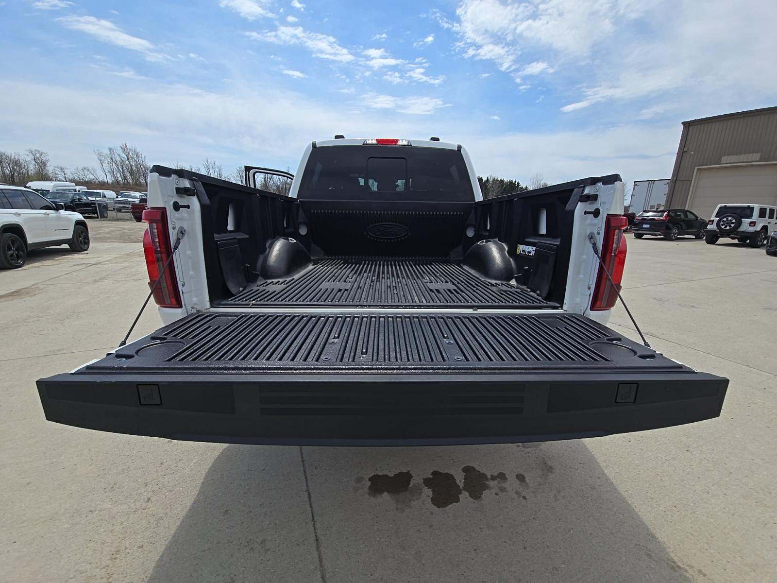 FORD F-150 - 10