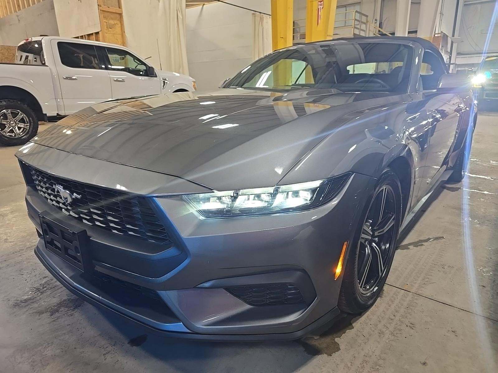 2025 Ford Mustang EcoBoost Premium RWD