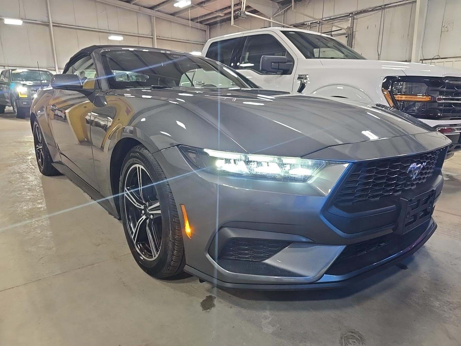 2025 Ford Mustang EcoBoost Premium RWD