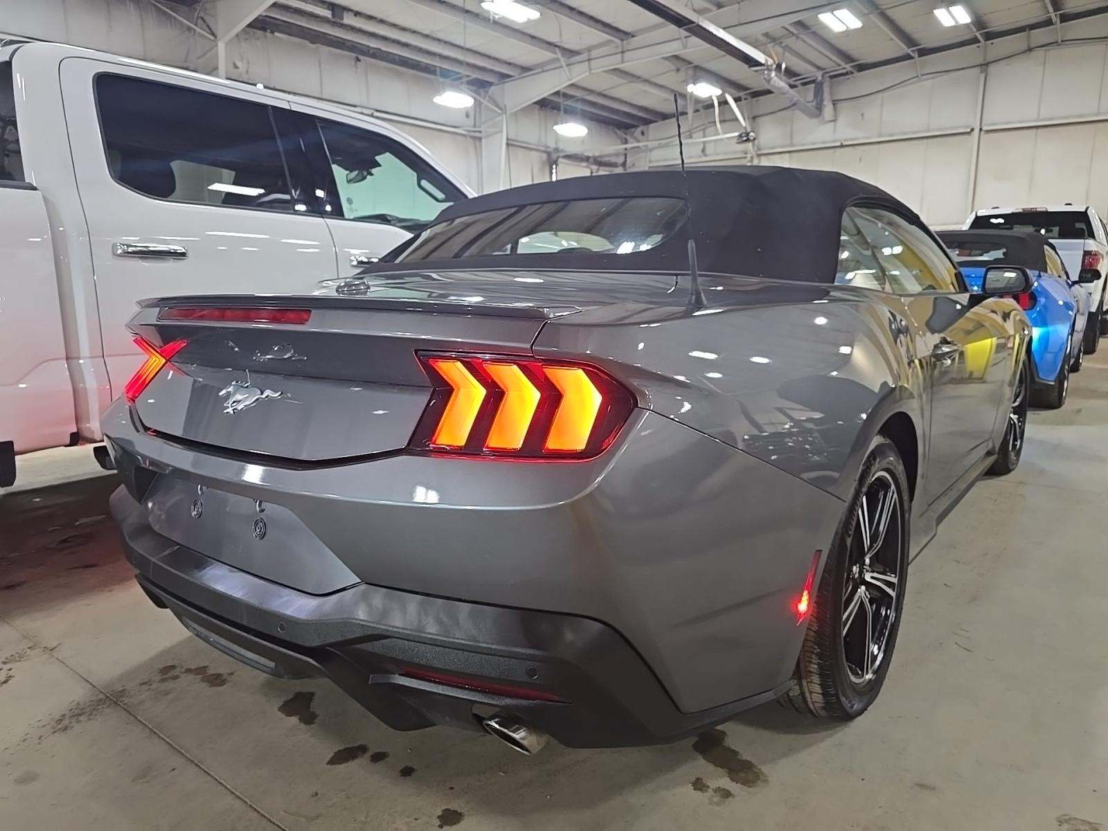 2025 Ford Mustang EcoBoost Premium RWD