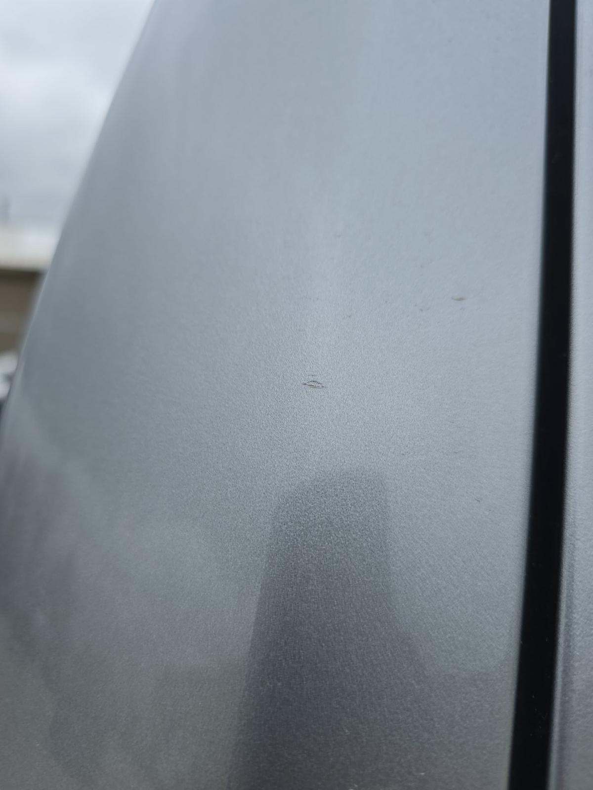 2024 Ford F-150 XLT AWD