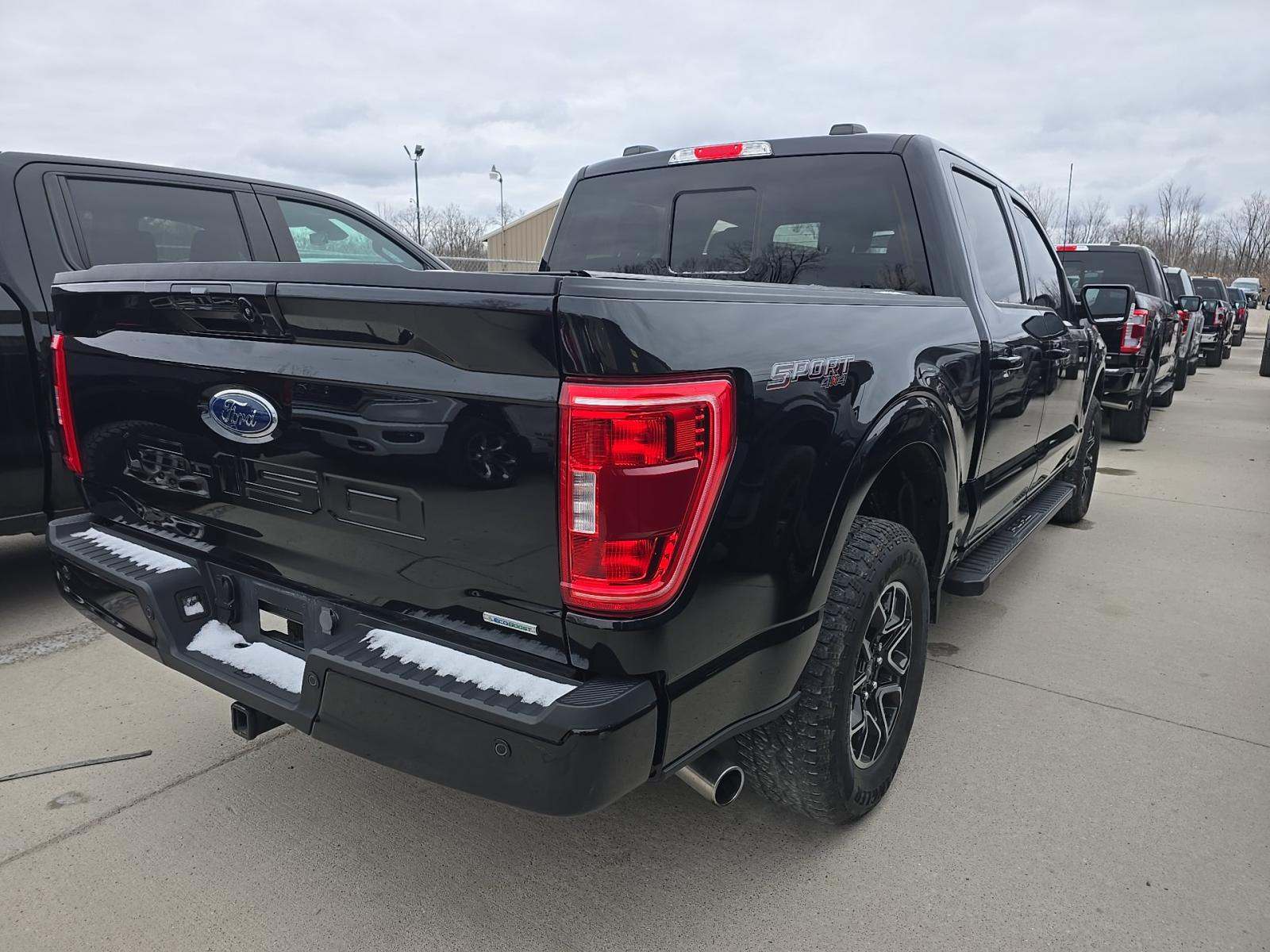 2023 Ford F-150 XLT AWD