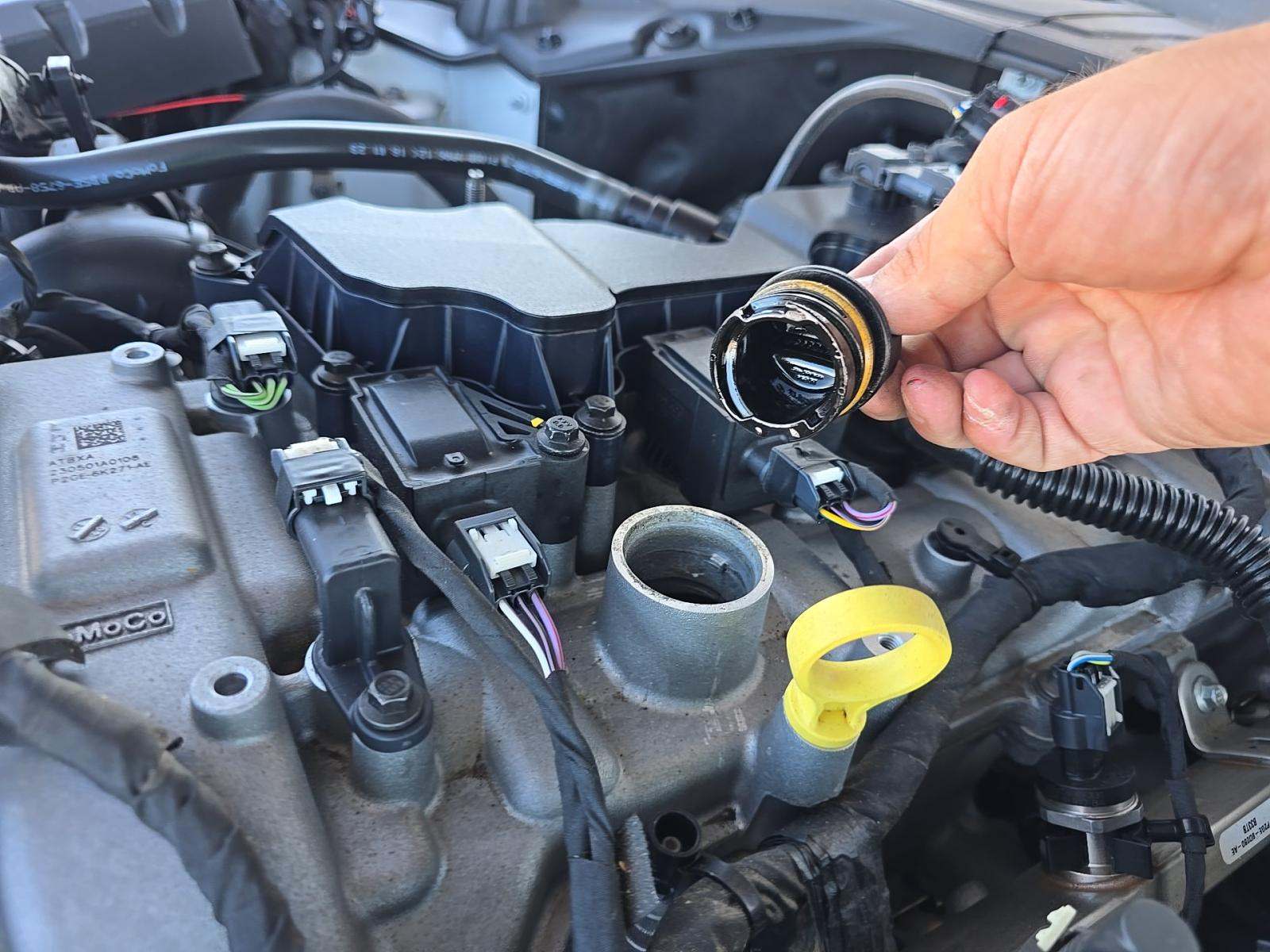 2024 Ford Mustang EcoBoost RWD