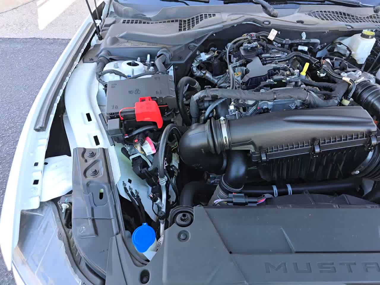 2024 Ford Mustang EcoBoost RWD