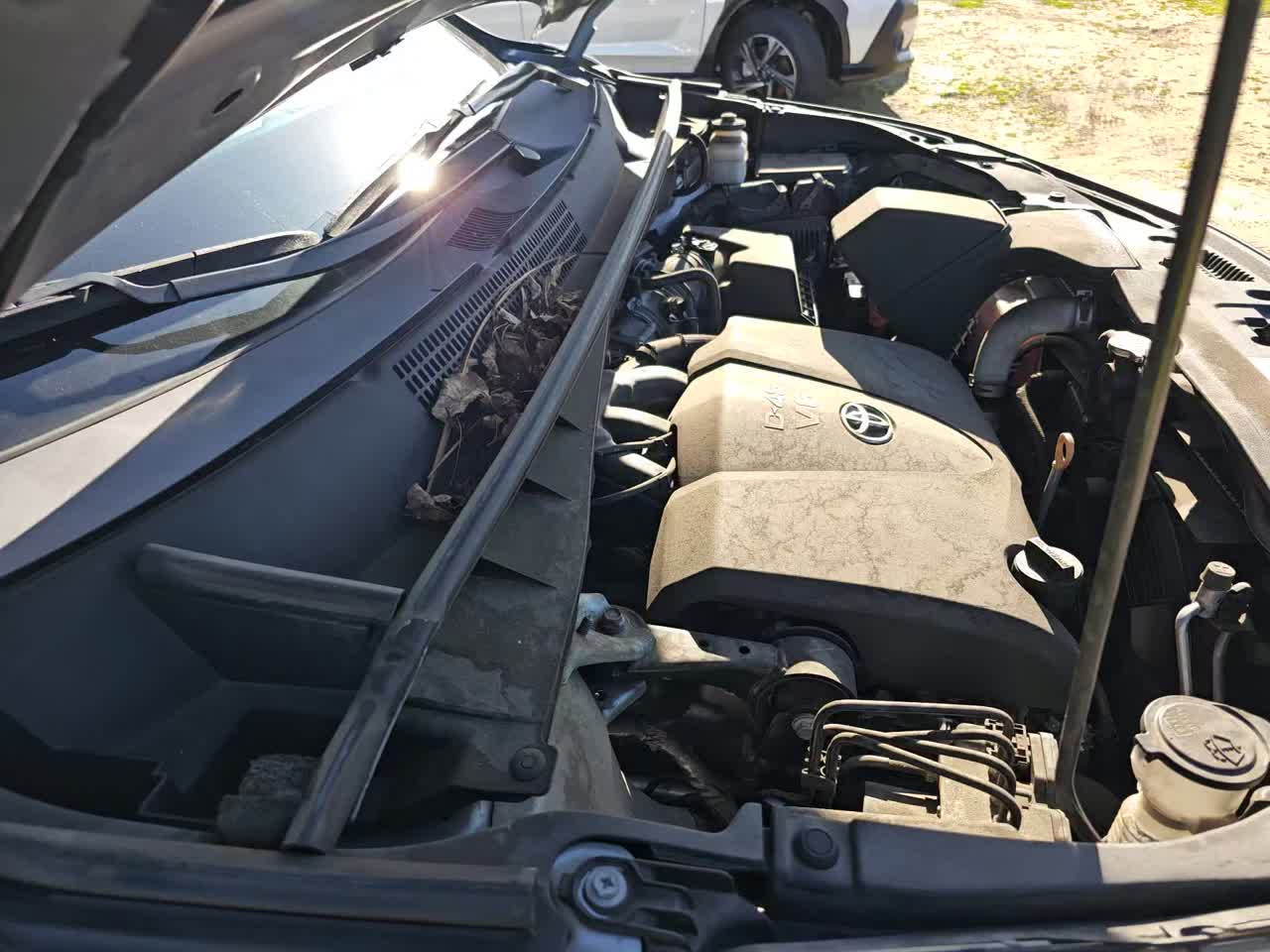 2019 Toyota Highlander LE Plus AWD