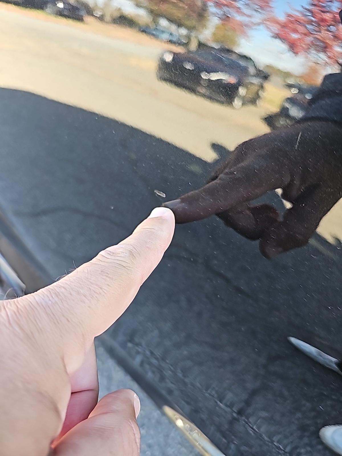 2025 BMW X6 M Competition AWD