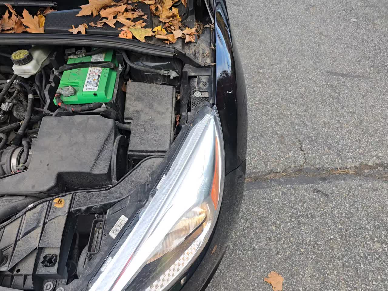 2018 Ford Focus SE FWD