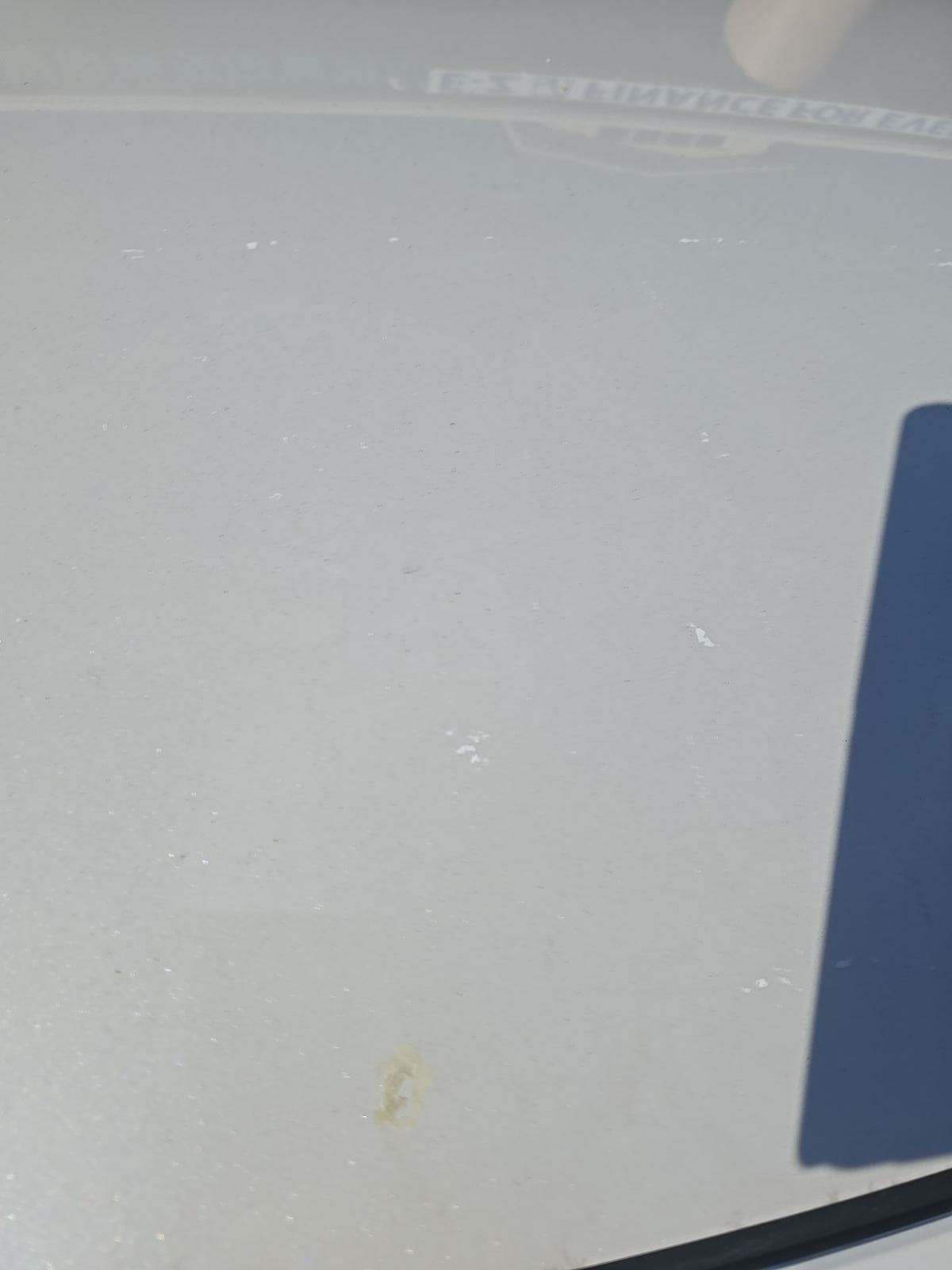 2019 Toyota Corolla SE FWD