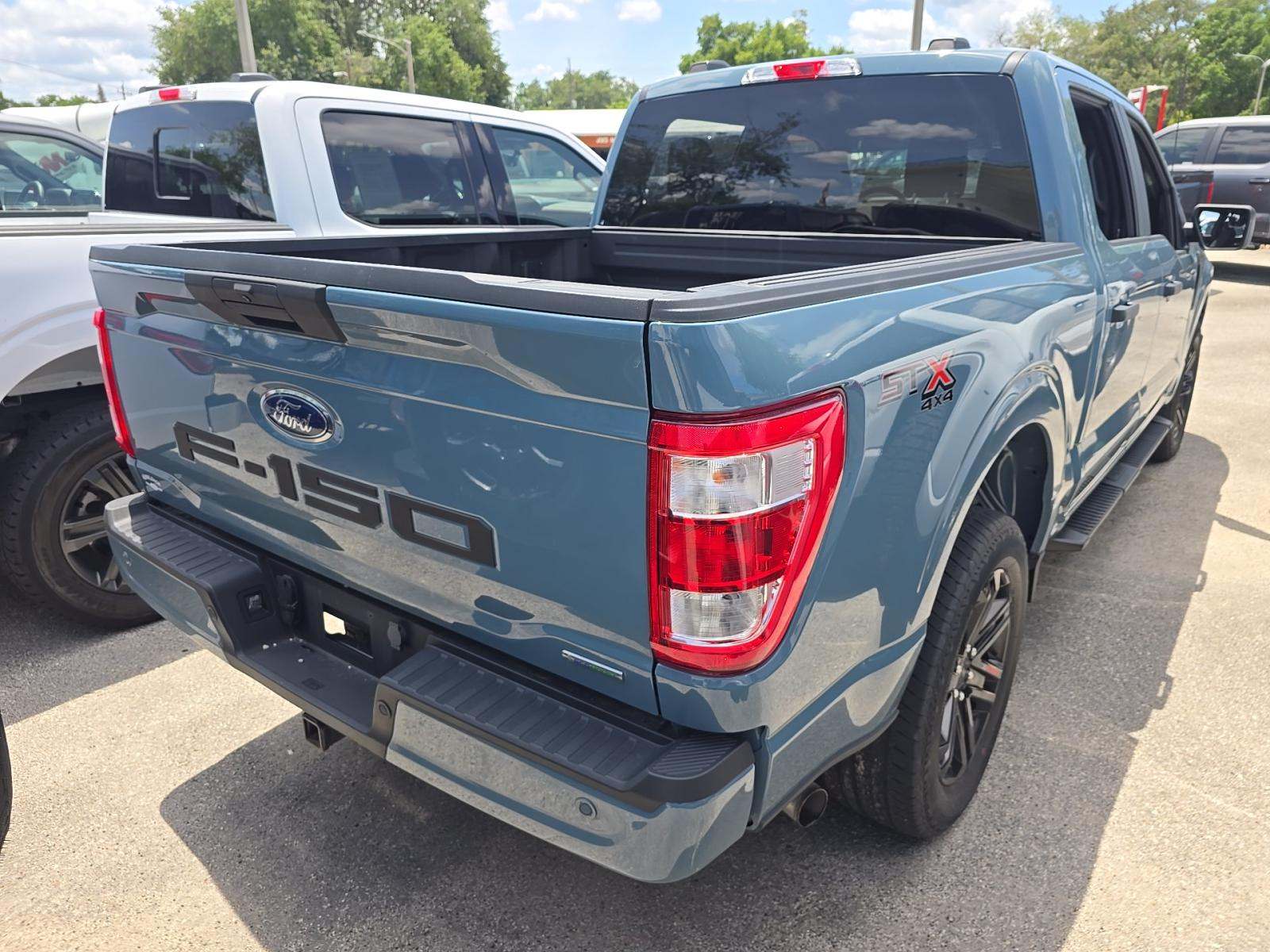 FORD F-150 - 3