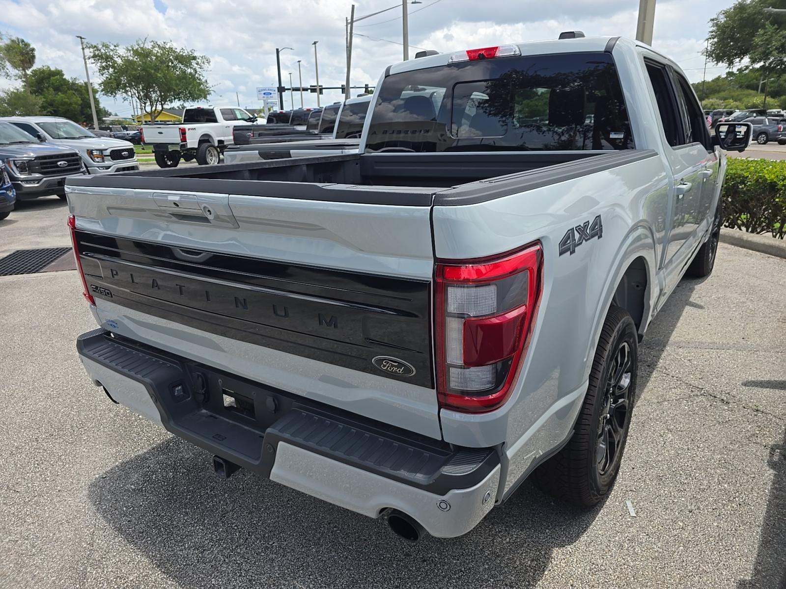 FORD F-150 - 3