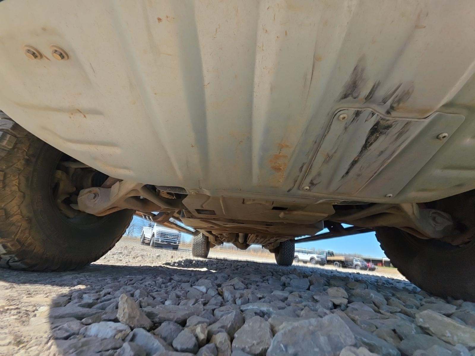 2023 Ford F-150 Raptor AWD