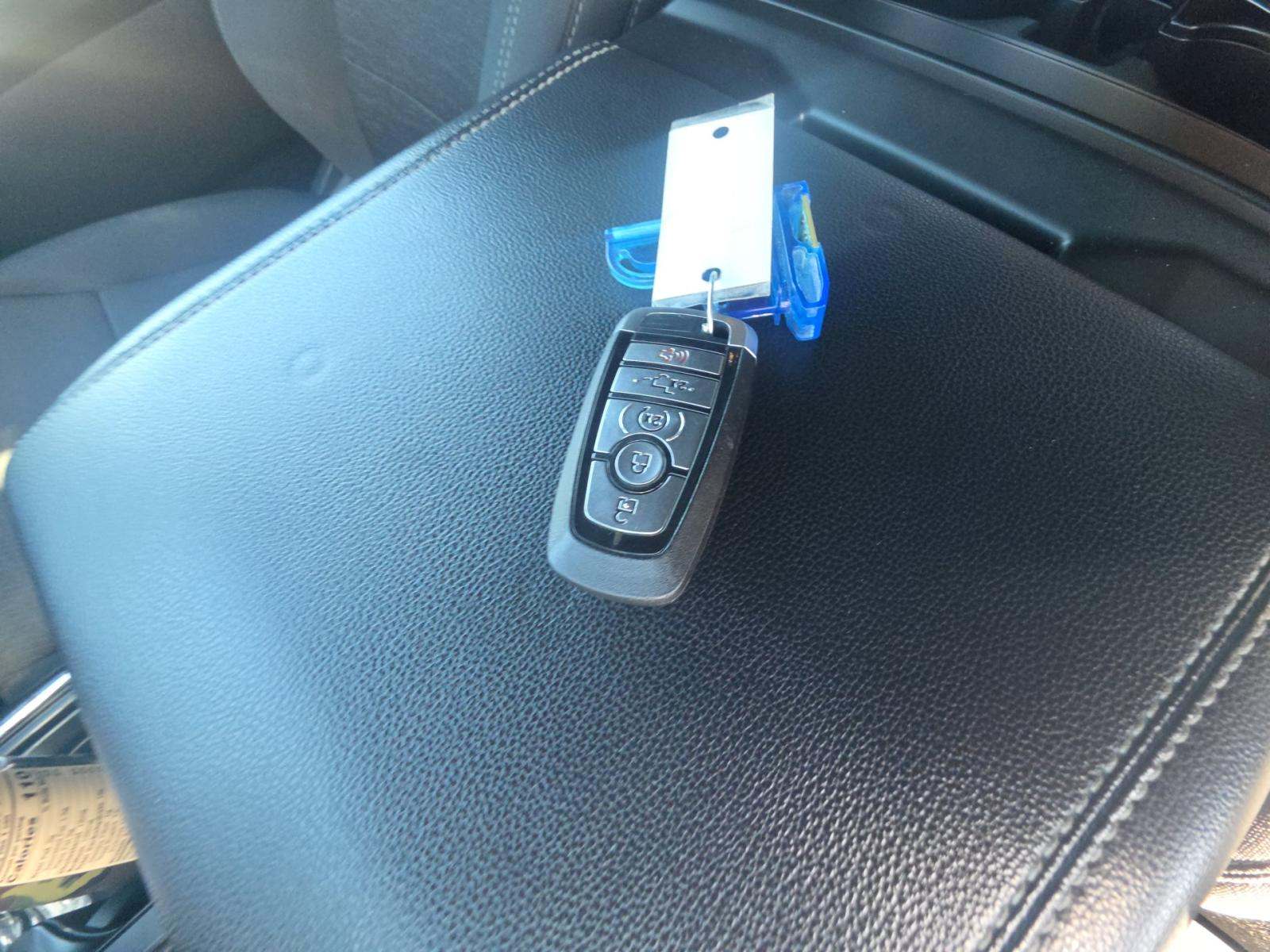 FORD F-150 - 4