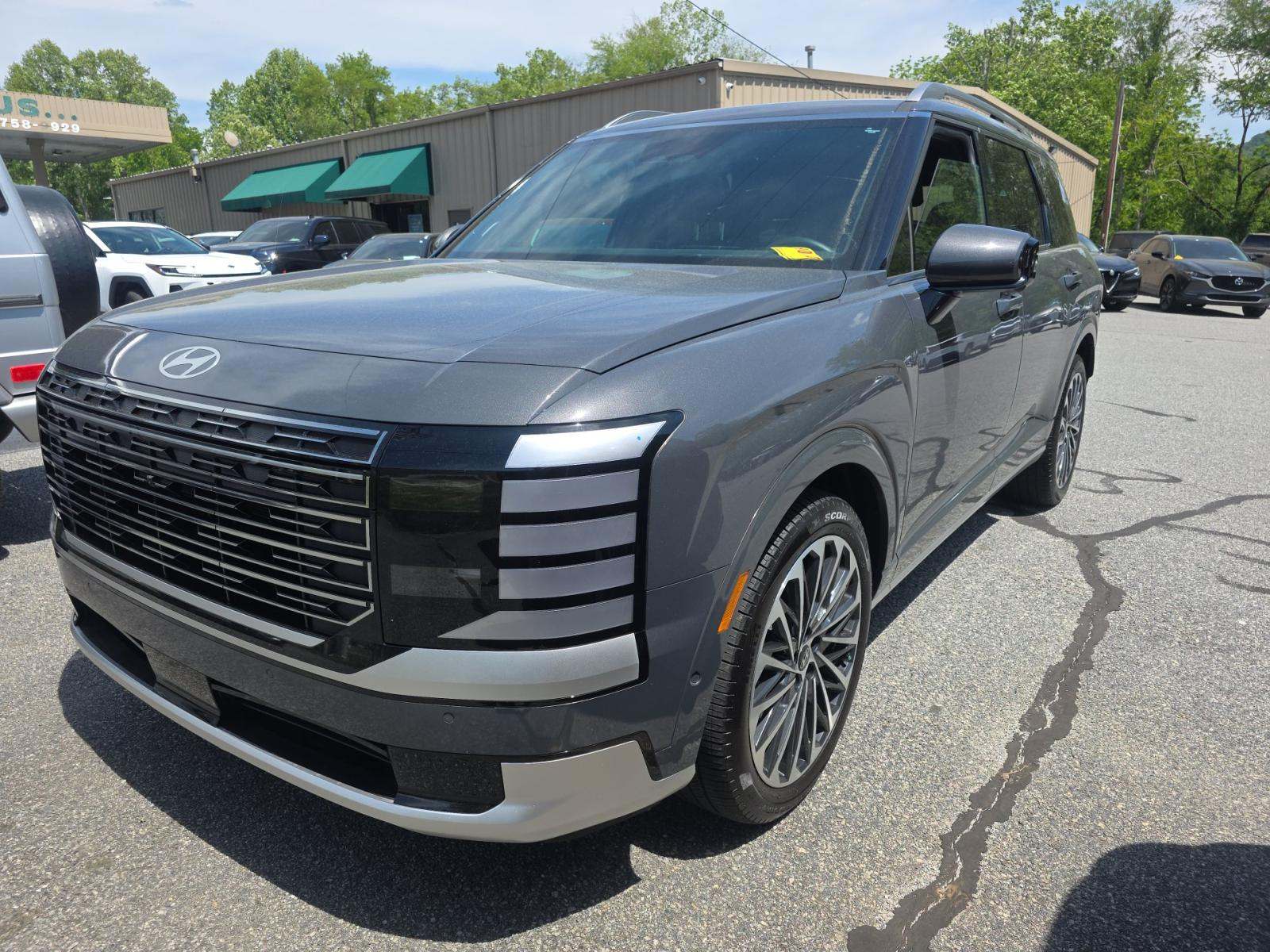HYUNDAI PALISADE - 1