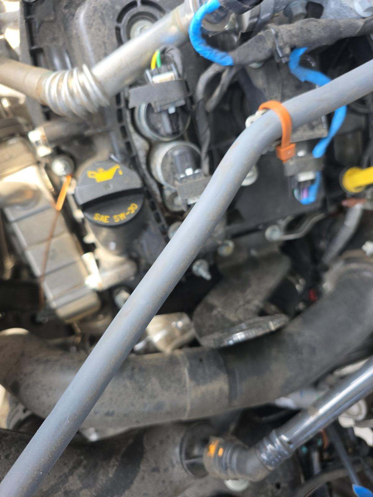 2025 Ford F-150 STX AWD