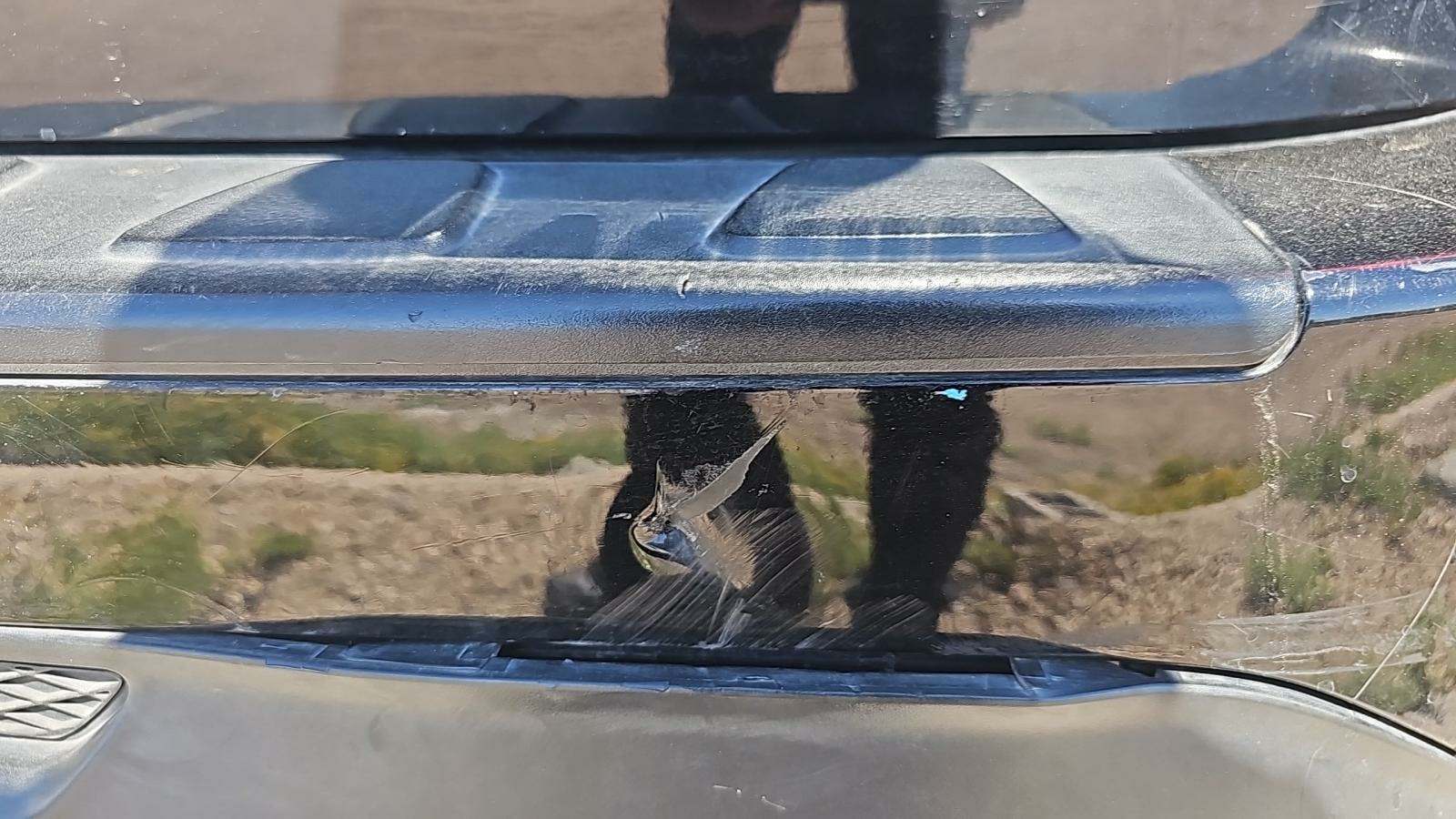 2013 Honda Pilot Touring FWD