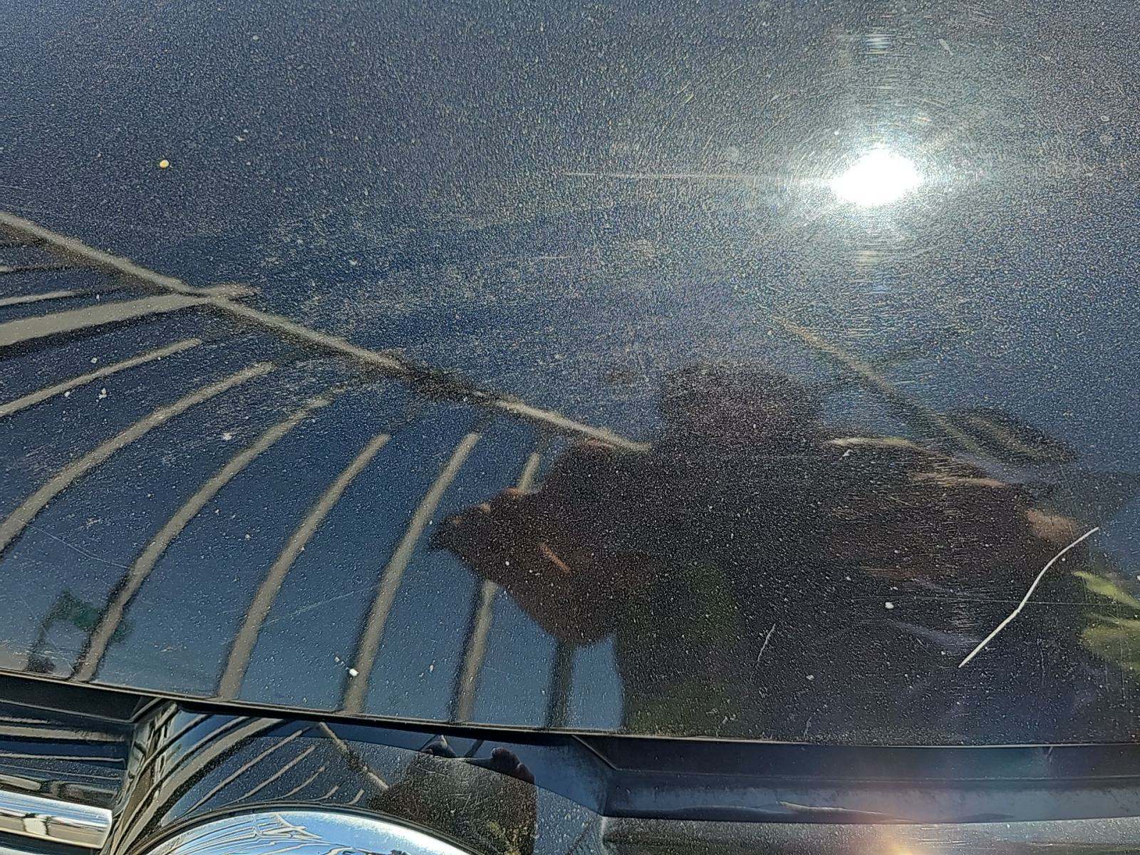 2015 Volkswagen Tiguan 2.0T SEL AWD