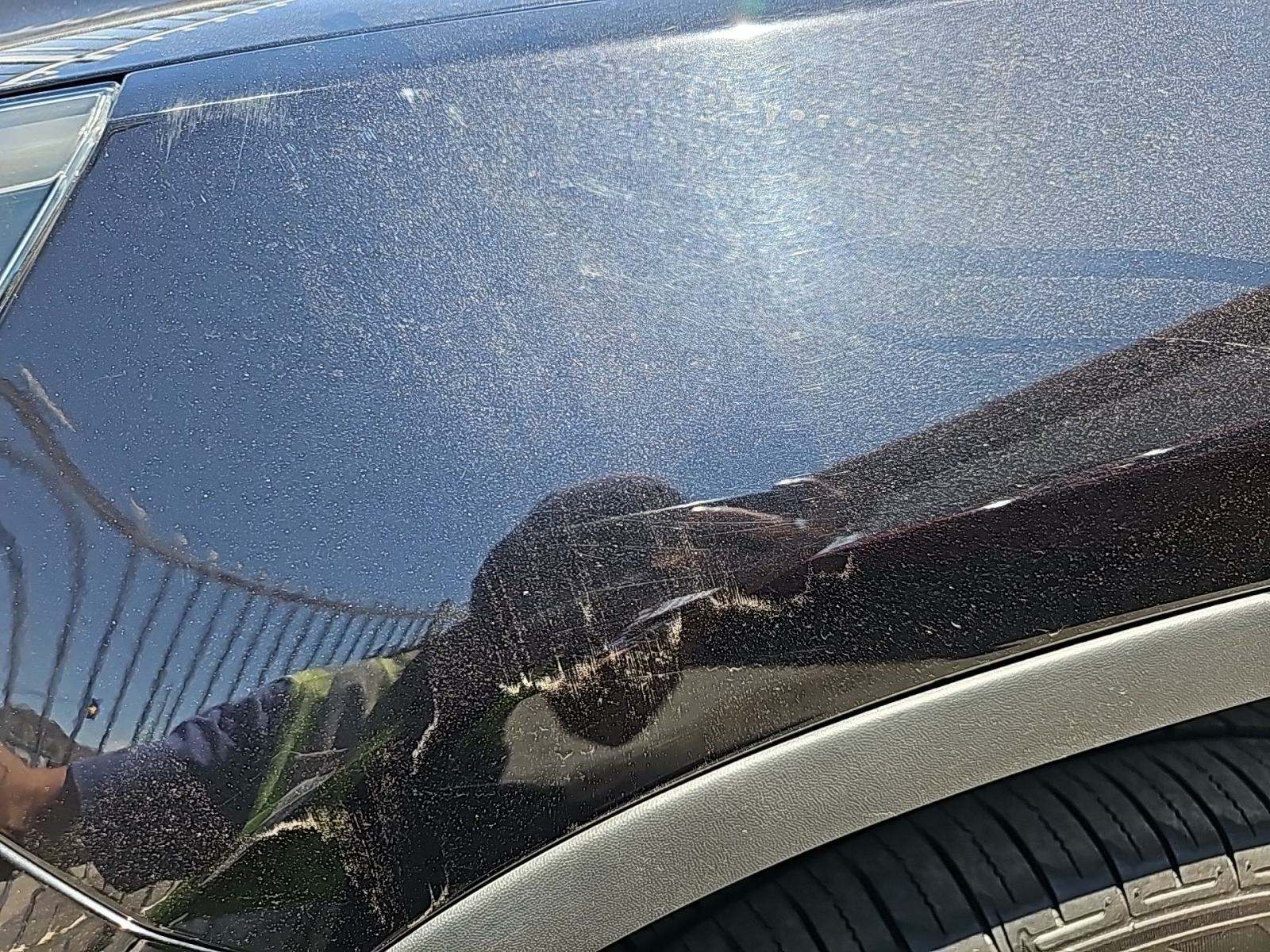 2015 Volkswagen Tiguan 2.0T SEL AWD