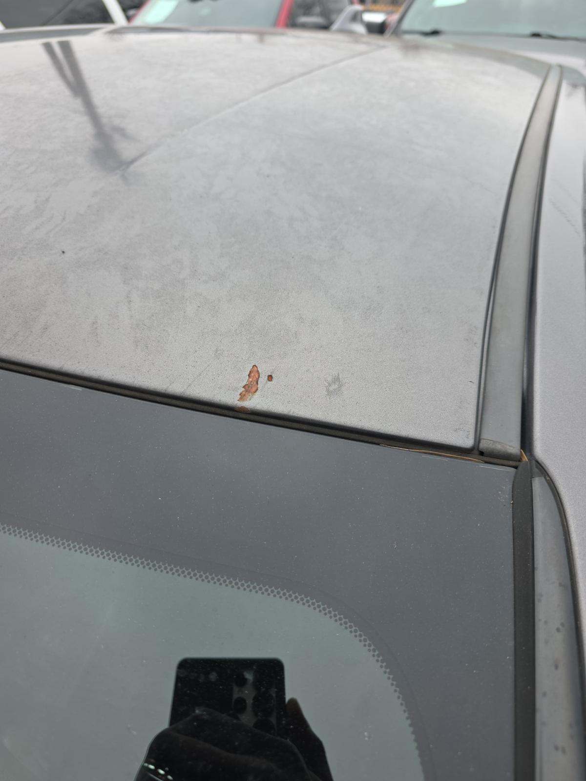 2019 Toyota C-HR LE FWD