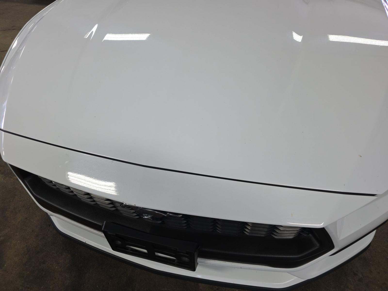 2024 Ford Mustang EcoBoost Premium RWD