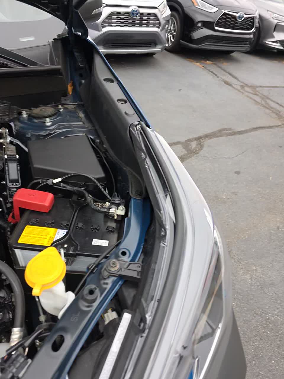 2023 Subaru Forester Wilderness AWD