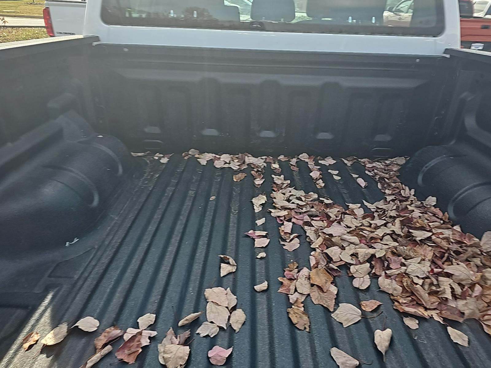 2022 Ford Ranger XL AWD