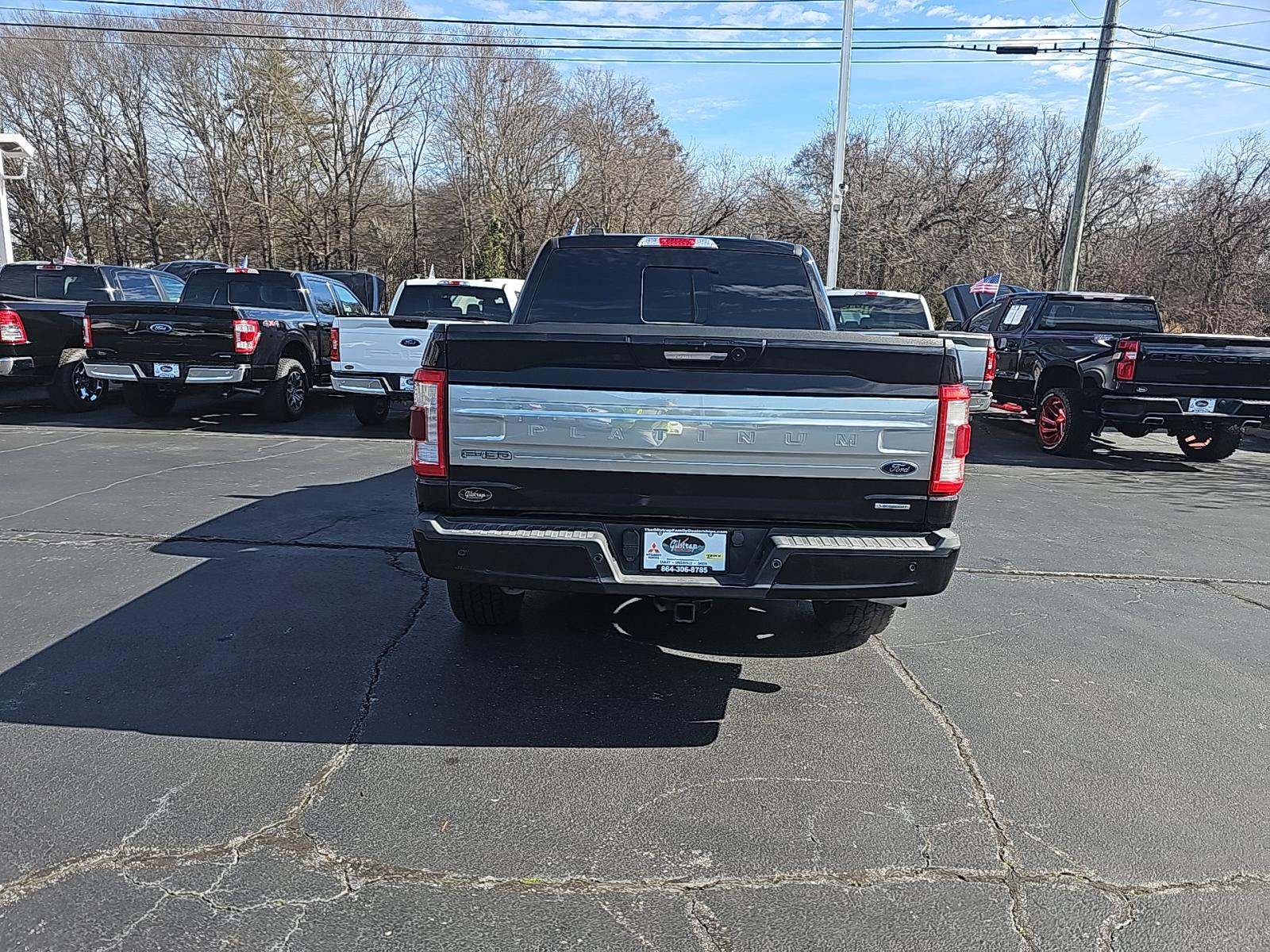 FORD F-150 - 3