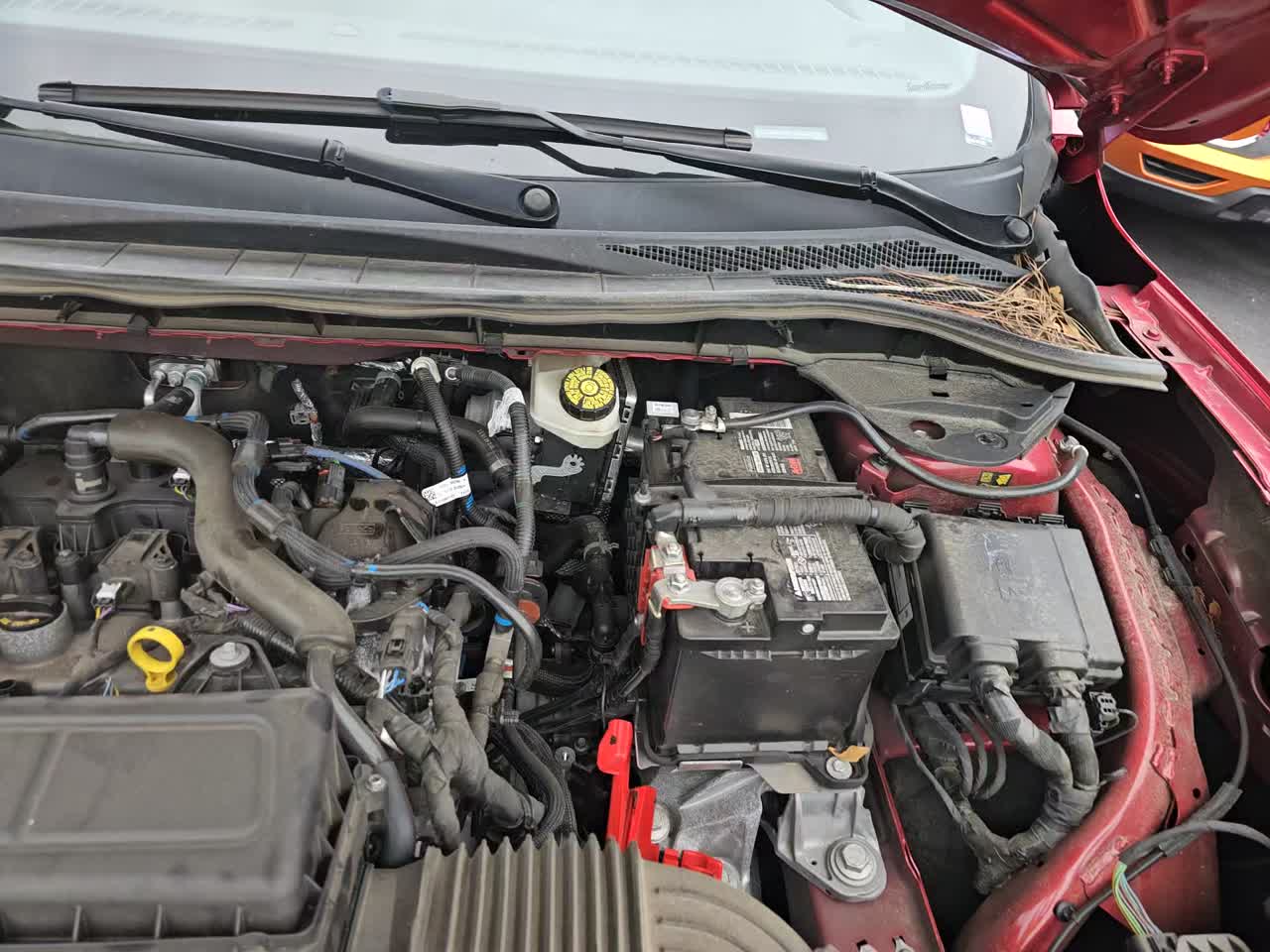 2024 Ford Escape ST-Line FWD